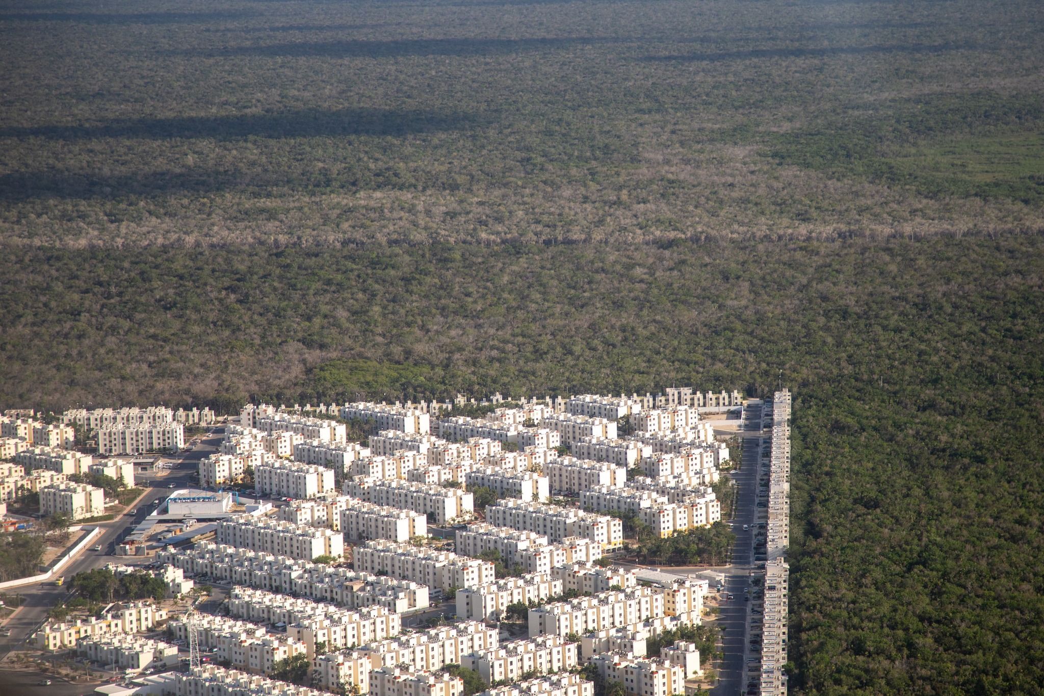 Greenpeace alerta sobre daños de inversión inmobiliaria en Yucatán